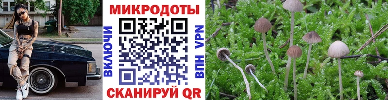Псилоцибиновые грибы Magic Shrooms  магазин    Якутск 